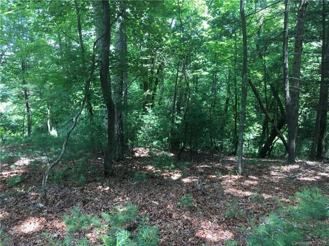 80 Powder Creek Trail - Photo 1