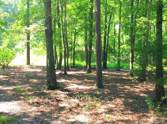 7103 Oak Springs Road - Photo 1