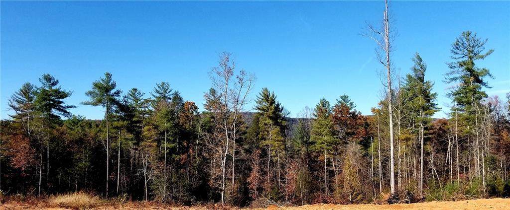 2887 Brown Mountain Beach Road - Photo 1