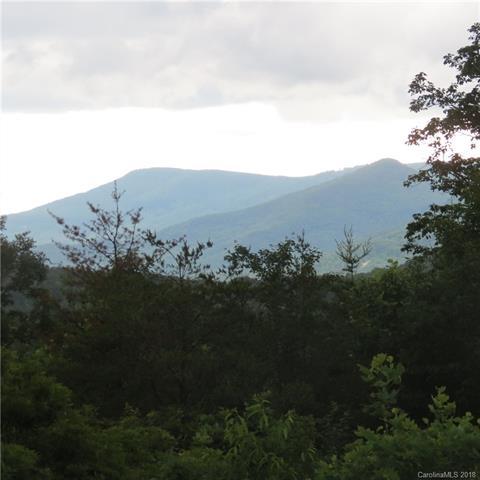 0 Laurel Lakes Parkway - Photo 1