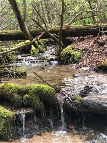 K-12R Galax Lane - Photo 1