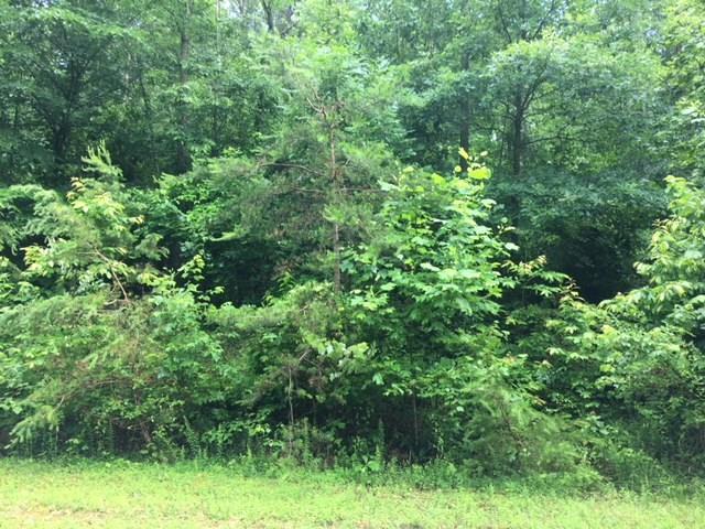 2361 & 2365 Ellen Street - Photo 1