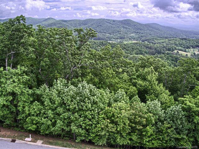 1094 Mills River Way - Photo 1