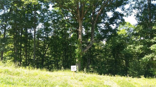 30 Tulip Poplar Trail - Photo 1