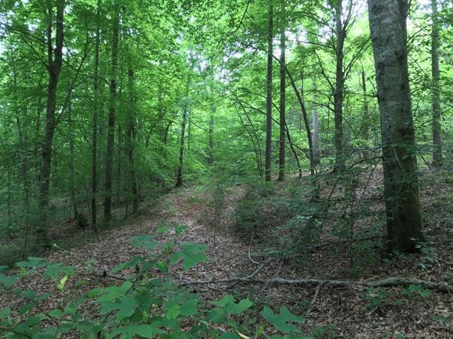 0 Us 221N Highway - Photo 1