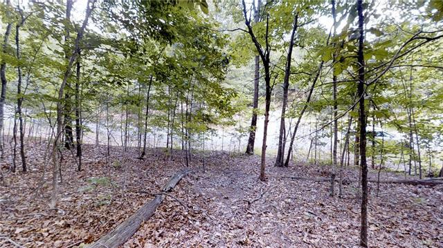 TBD Woodland Circle - Photo 1