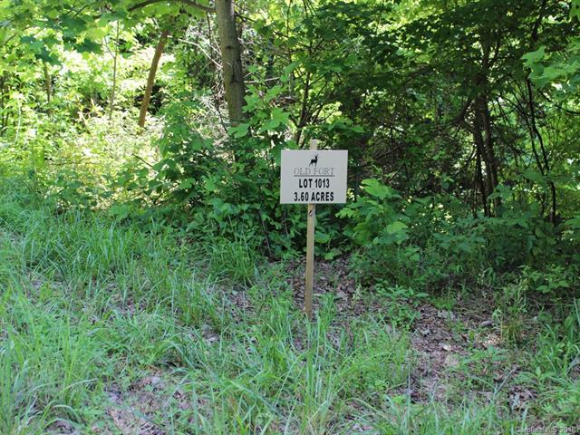 1013 Wolf Pen Road - Photo 1