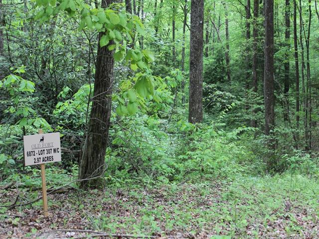 307 Wild Cherry Lane - Photo 1