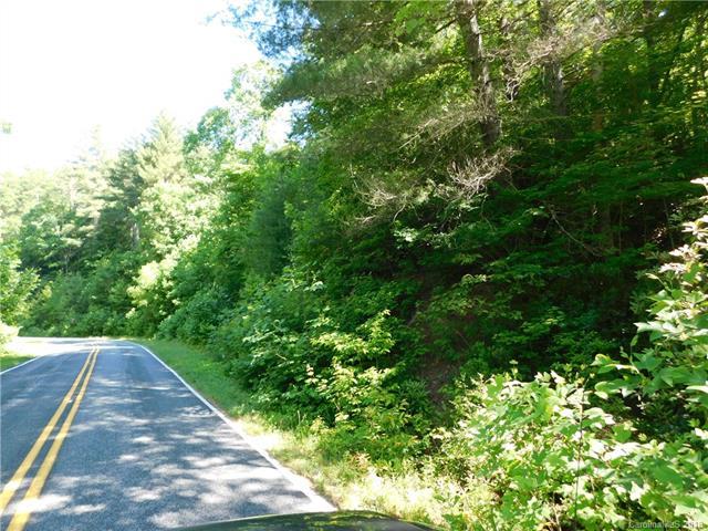 TBD Morgan Mill Road - Photo 1