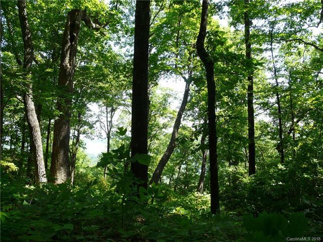 PR-20 Panther Ridge Road - Photo 1
