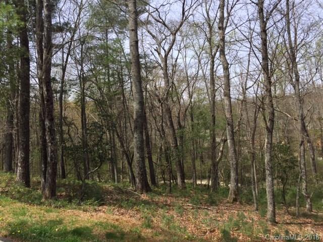 3 Deep Creek Trail - Photo 1