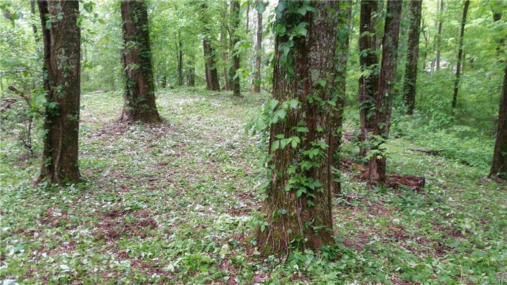 46 Little Brother Lane - Photo 1