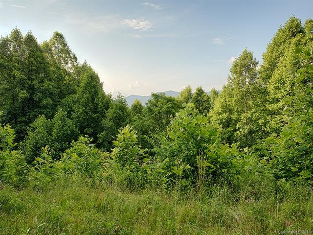 0 White Oak Road - Photo 1