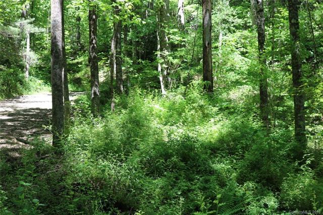 99999 Mcalpine Mountain Road - Photo 1