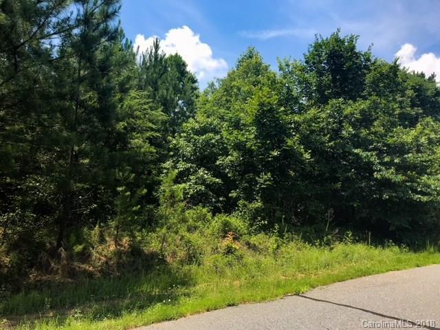 Lot 112 Creekside Circle - Photo 1