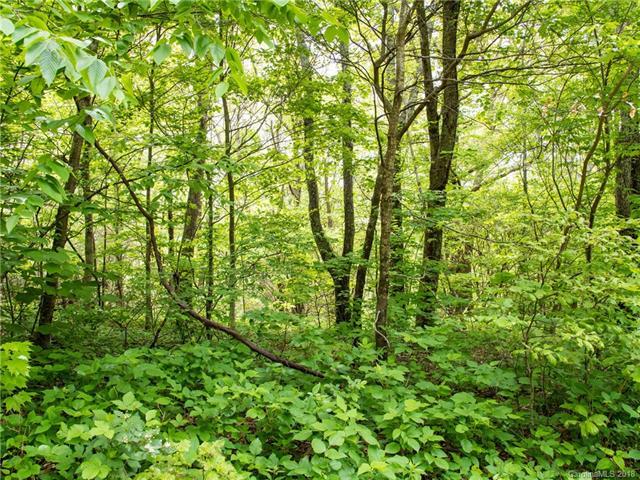 9999 Bear Wallow Trail - Photo 1