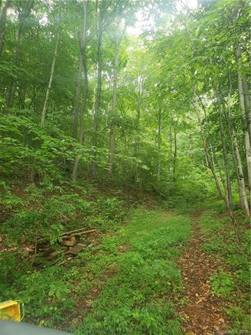 0000 Wits End Trail - Photo 1
