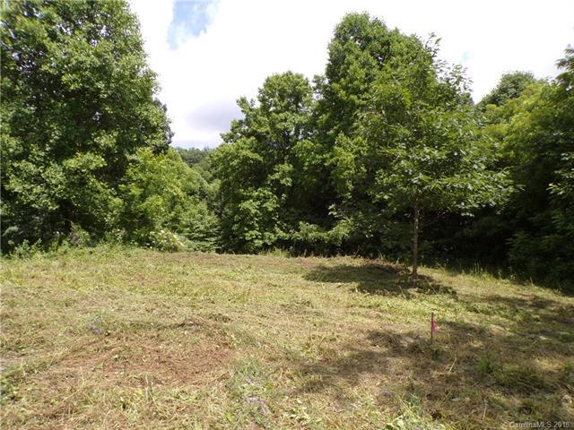 00 Biodome Drive - Photo 1
