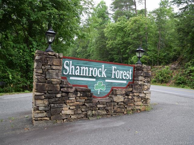 LOT 3 Dublin Lane - Photo 1