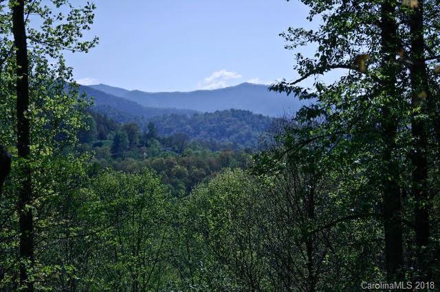 00 Sweet Creek Road - Photo 1