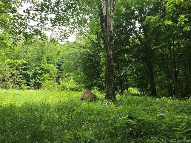 131 Wolf Crossing - Photo 1