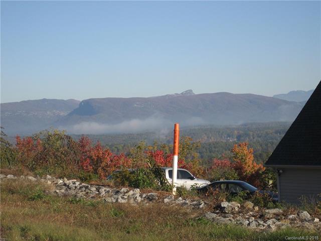 tbd Misty Mountain Estate - Photo 1