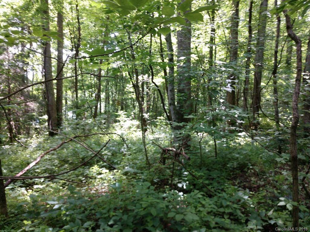1159 Conley Mountain Association Road - Photo 1