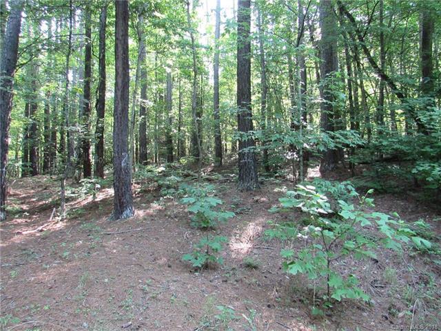 0 Island Creek Road - Photo 1