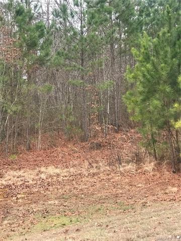 00 Wilma Sigmon Road - Photo 1