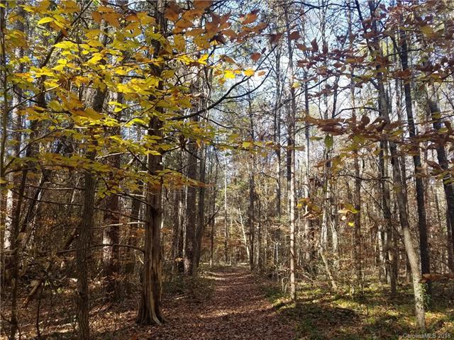 00000 Stoney Knob Lane - Photo 1