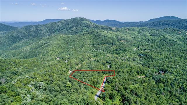 191 Catawba Falls Parkway - Photo 1