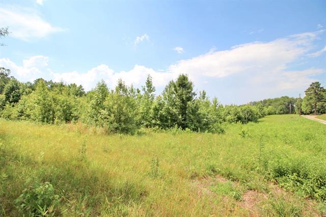 423 Pete Brittain Road - Photo 1