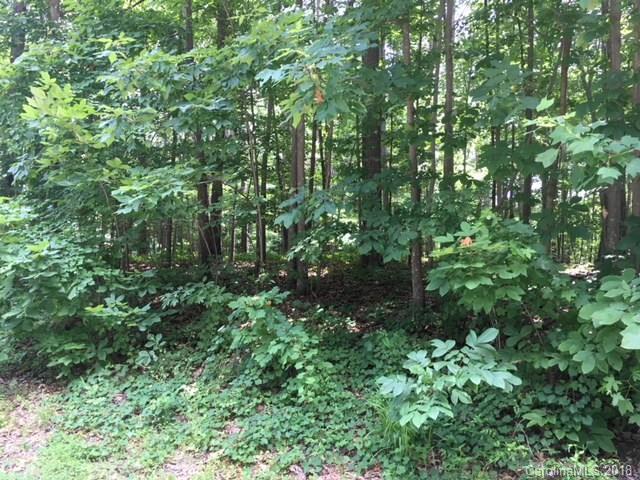 459 Beaten Path Road - Photo 1