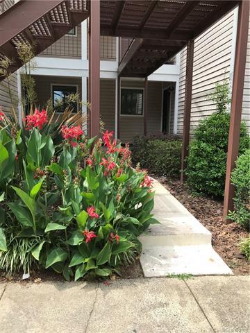 7516 Pebblestone Drive - Photo 1