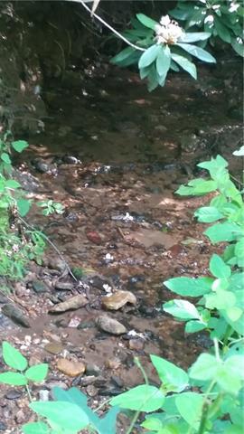 0 Hose Road - Photo 1