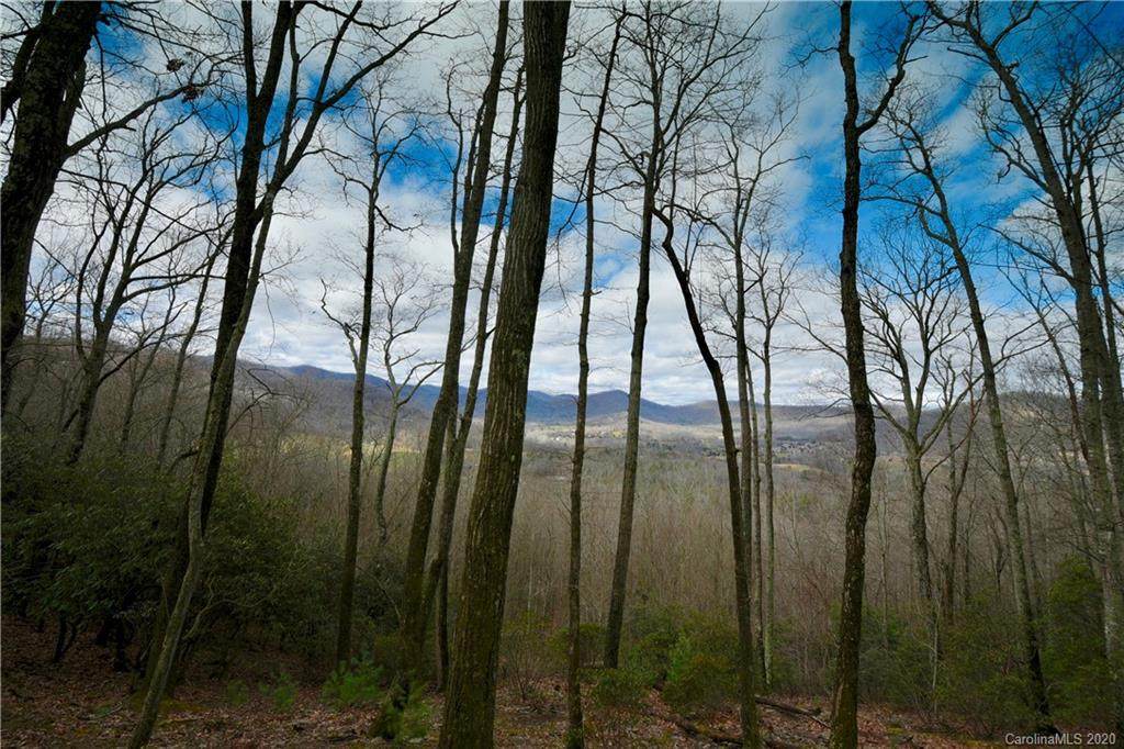 293 Secluded Hills Lane - Photo 1