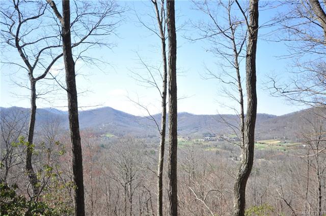 293 Secluded Hills Lane - Photo 1