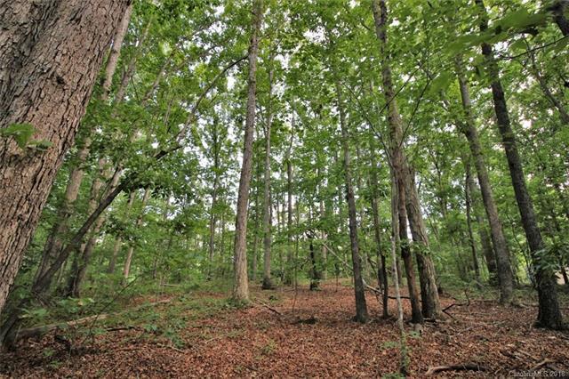 2.15 Acres Brightwood Drive - Photo 1