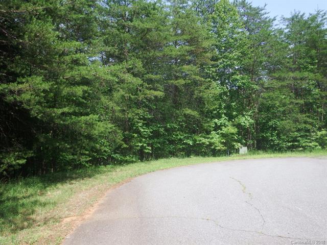 LOT 75 Carner Drive - Photo 1