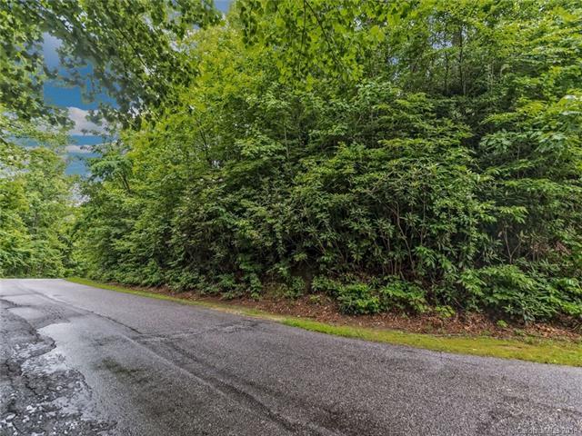 LOT 33 Rambling Ridge Road - Photo 1