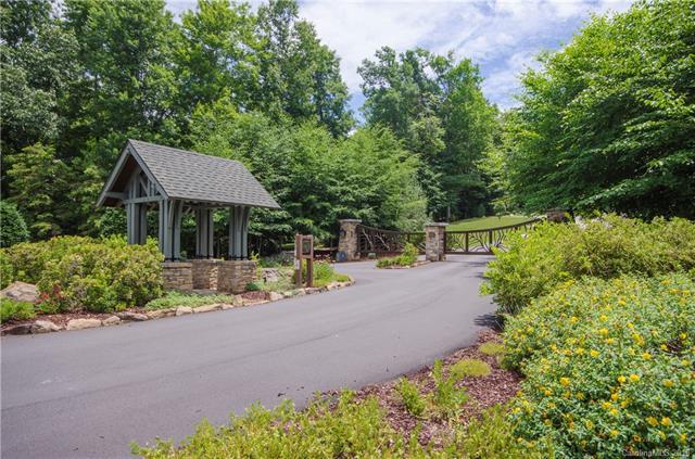 736 Wickhams Fancy Drive - Photo 1