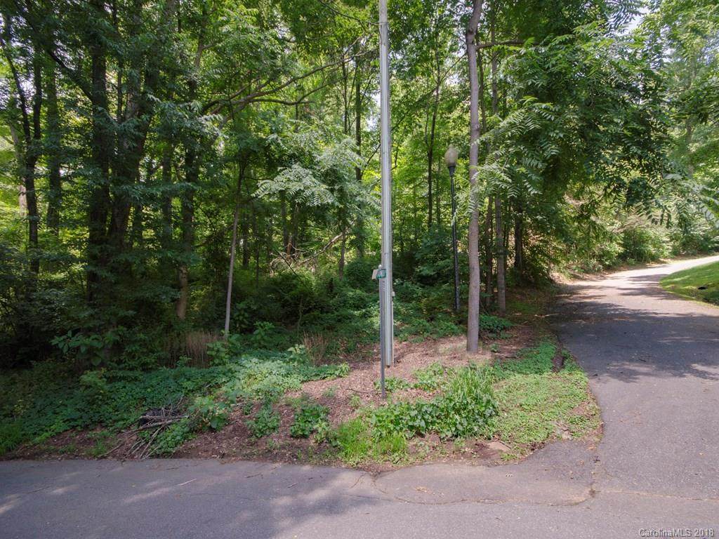 Lot 1 Bowden Lane - Photo 1