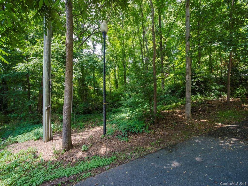 Lot 1 Bowden Lane - Photo 1