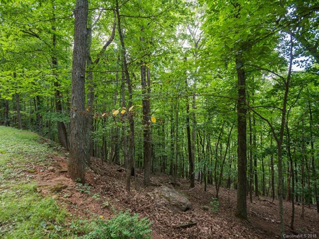 Lot 204 Sourwood Drive - Photo 1