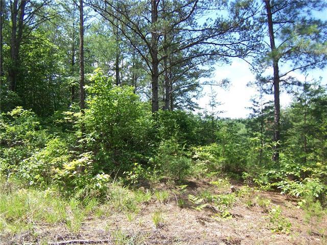 00 Basile Place - Photo 1