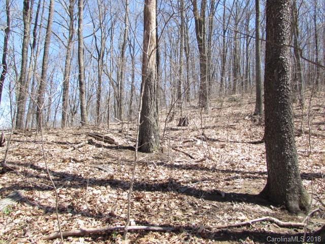 00 Catbrier Lane - Photo 1