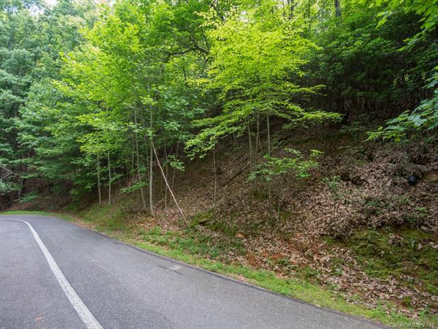 Lot 206 Sugar Maple Drive - Photo 1