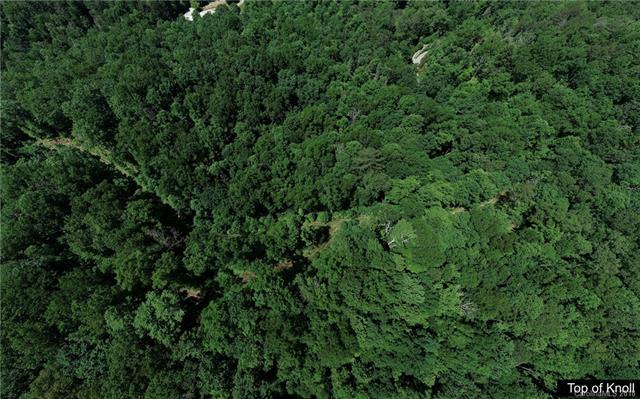 10+/-acres Garren Creek Road - Photo 1