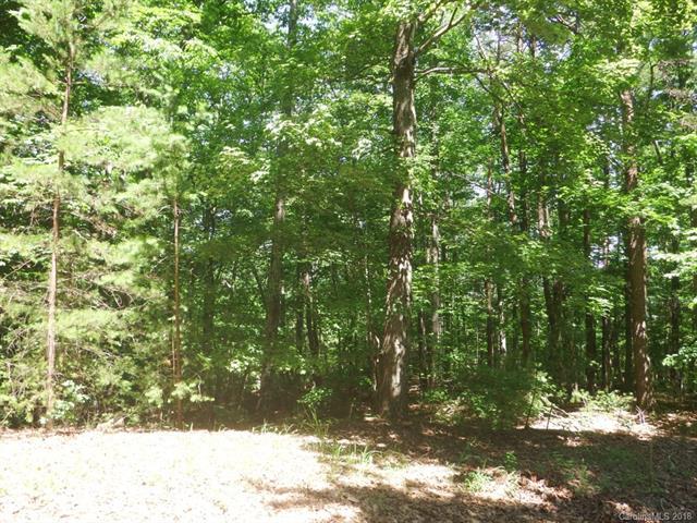 LOT 8 Whitney Boulevard - Photo 1