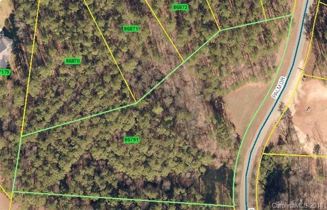 TBD Palm Drive - Photo 1